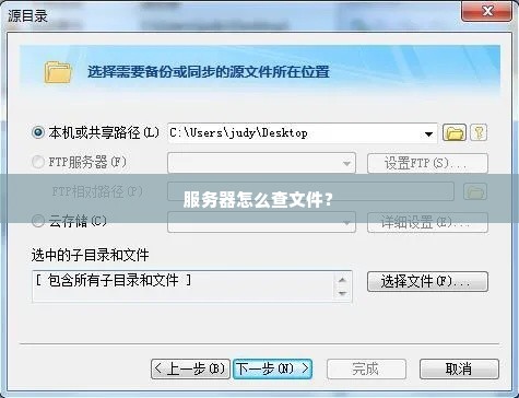 服务器怎么查文件？