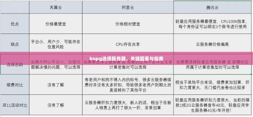 bupg选择服务器，关键因素与指南