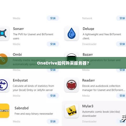 OneDrive如何购买服务器？