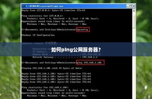 如何ping公网服务器？