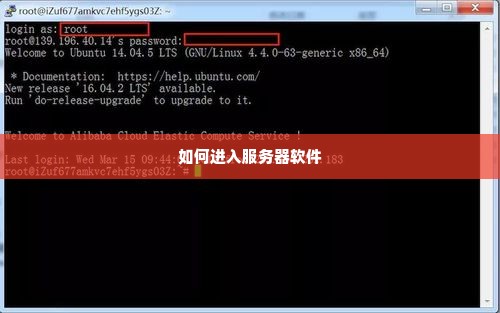 如何进入服务器软件