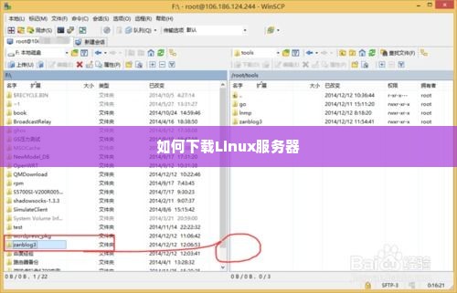 如何下载Linux服务器