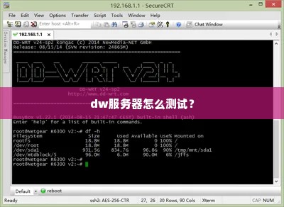 dw服务器怎么测试？