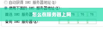 怎么在服务器上网