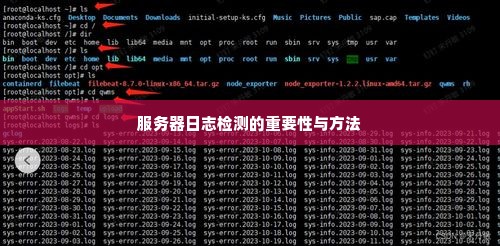 服务器日志检测的重要性与方法