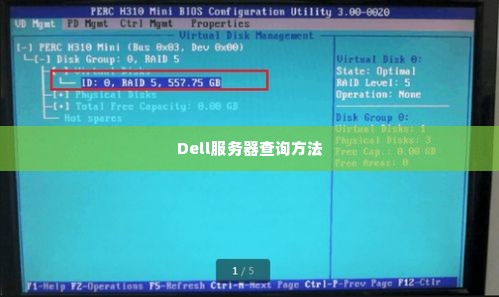 Dell服务器查询方法