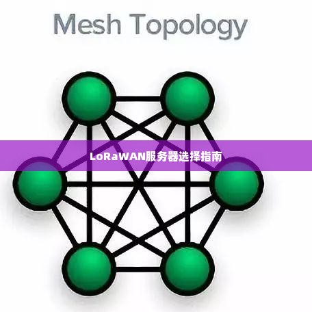 LoRaWAN服务器选择指南