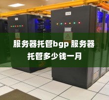 服务器托管bgp 服务器托管多少钱一月