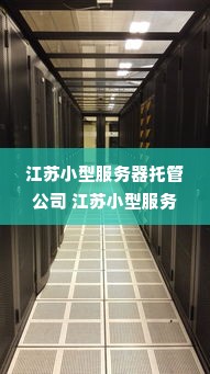 江苏小型服务器托管公司 江苏小型服务器托管公司有哪些