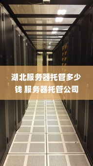 湖北服务器托管多少钱 服务器托管公司哪家好