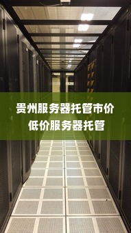 贵州服务器托管市价 低价服务器托管