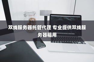 双线服务器托管代理 专业提供双线服务器租用