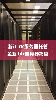 浙江idc服务器托管企业 idc服务器托管价格