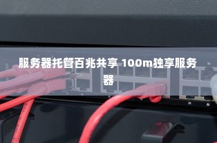 服务器托管百兆共享 100m独享服务器