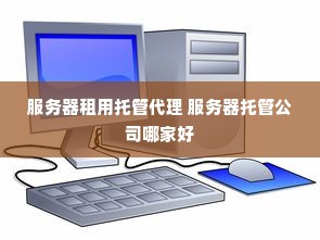 服务器租用托管代理 服务器托管公司哪家好