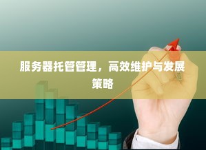 服务器托管管理，高效维护与发展策略