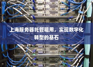 上海服务器托管租用，实现数字化转型的基石