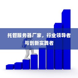 托管服务器厂家，行业领导者与创新实践者