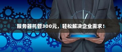 服务器托管300元，轻松解决企业需求！