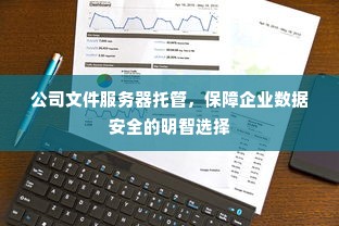 公司文件服务器托管，保障企业数据安全的明智选择