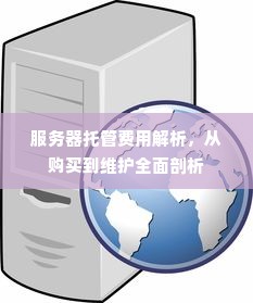 服务器托管费用解析，从购买到维护全面剖析