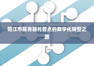 阳江市服务器托管点的数字化转型之路