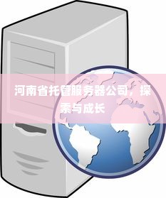 河南省托管服务器公司，探索与成长