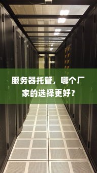 服务器托管，哪个厂家的选择更好？