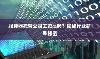 服务器托管公司工资高吗？揭秘行业薪酬秘密