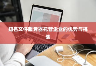 知名文件服务器托管企业的优势与挑战