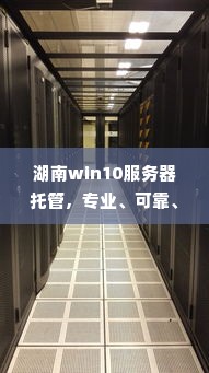 湖南win10服务器托管，专业、可靠、高效的选择