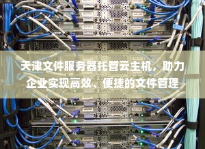 天津文件服务器托管云主机，助力企业实现高效、便捷的文件管理