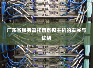 广东省服务器托管虚拟主机的发展与优势