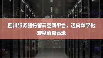 四川服务器托管云空间平台，迈向数字化转型的新高地