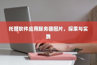 托管软件应用服务器图片，探索与实践