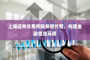 上海证券交易所服务器托管，构建金融信息高塔