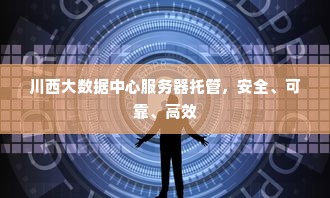 川西大数据中心服务器托管，安全、可靠、高效