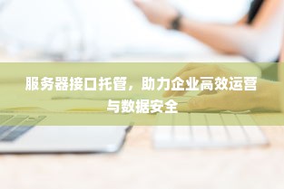 服务器接口托管，助力企业高效运营与数据安全