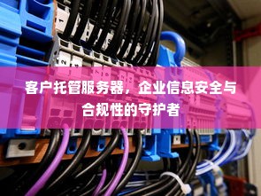 客户托管服务器，企业信息安全与合规性的守护者