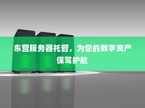 东营服务器托管，为您的数字资产保驾护航