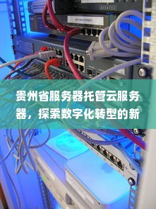 贵州省服务器托管云服务器，探索数字化转型的新路径