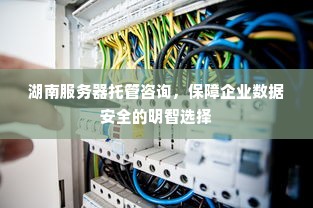 湖南服务器托管咨询，保障企业数据安全的明智选择