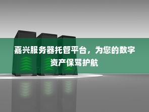 嘉兴服务器托管平台，为您的数字资产保驾护航