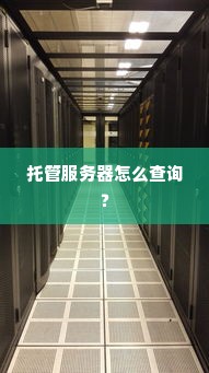 托管服务器怎么查询？