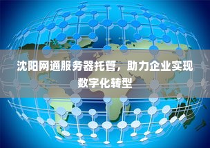 沈阳网通服务器托管，助力企业实现数字化转型