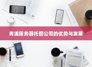 青浦服务器托管公司的优势与发展