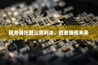 服务器托管公司判决，胜者拥有未来