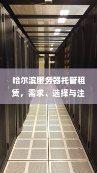 哈尔滨服务器托管租赁，需求、选择与注意事项