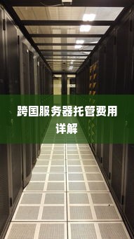 跨国服务器托管费用详解