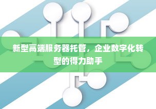 新型高端服务器托管，企业数字化转型的得力助手